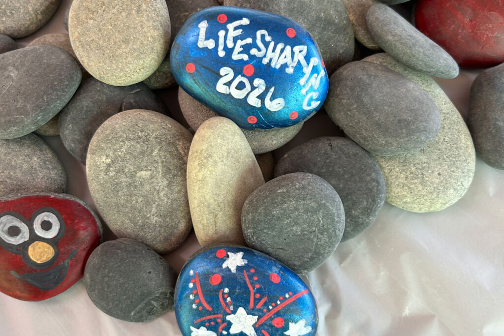 Lifesharing-disability-summit